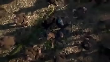 Yo en ingles solo se decir yes pensé en el libro de herman hess soy un looser como boyscout ¡y de la vida me dejare out