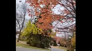 Cuming out for either june or october gay pride month about other gay looking and sounding things i did on social media once 13