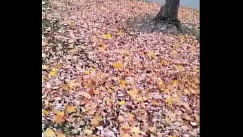 Cuming out for either june or october gay pride month about other gay looking and sounding things i did on social media once 13