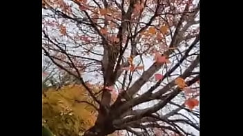 Cuming out for either june or october gay pride month about other gay looking and sounding things i did on social media once 13