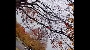 Cuming out for either june or october gay pride month about other gay looking and sounding things i did on social media once 13