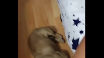 Big preview of hot sex on home with my boyfriend sheila ortega