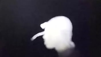 Bladee ft ecco2k obedient red light album drain gang