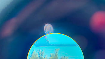 Cheating girlfriend gets caught and punished by double penetration screaming with each stroke as both holes are used until she’s a dripping quivering mess