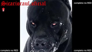 Estava louca pra transar com meu amigo tatuado e minha irmã não sai de casa então resolvi chamar ela e transar a três bem gostoso com o safado