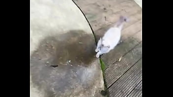 Psyland25 write our tattoo artistzz and get your appointment now 3 #tattoos #tattedup #inkedtattoo #inkedup #ta