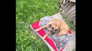 Psyland25 write our tattoo artistzz and get your appointment now 3 #tattoos #tattedup #inkedtattoo #inkedup #ta