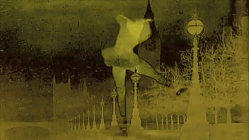 Retro erotic drawings