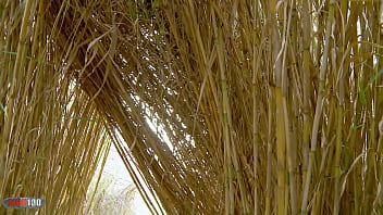 Young french angela kiss jerks off and gets fucked in the reeds