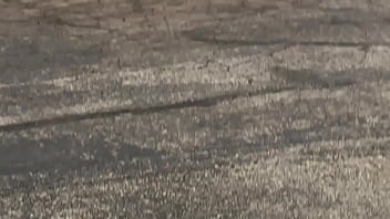 Ass in leggings Ass in leggings