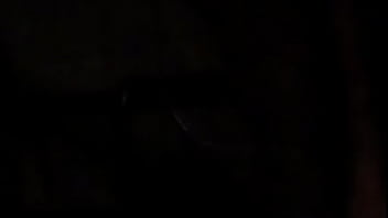 M4h02240mp4 thumbnail