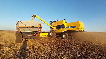 Colhendo Soja thumbnail