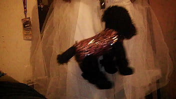 Video bokep part 31857099