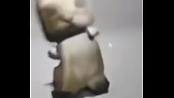 El Gato Epik thumbnail