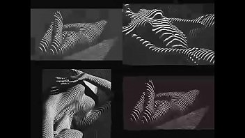 Homprod 115connection hydrozebra