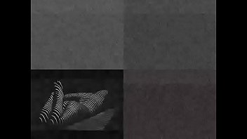 Homprod 115connection hydrozebra