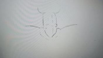 Getting deep in there