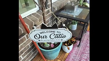 Happy international cat day from my cats to yours