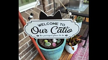 Happy international cat day from my cats to yours