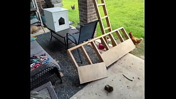 Happy international cat day from my cats to yours