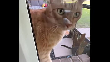 Happy international cat day from my cats to yours