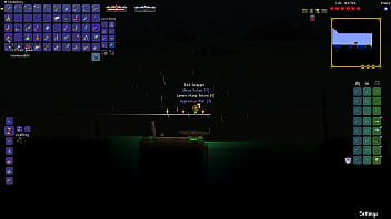 Terraria true melee