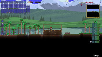 Terraria true melee