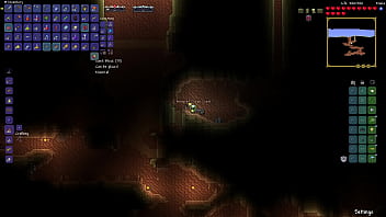 Terraria true melee