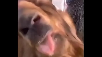 Видео для верификации