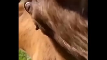 Видео для верификации