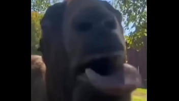 Видео для верификации