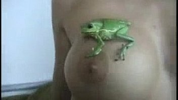 935d9ea0798b242ddbc74a45b47662cf