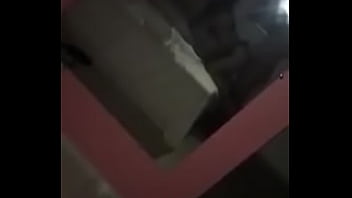 Cachorrinha de quatro