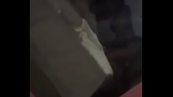 Cachorrinha de quatro