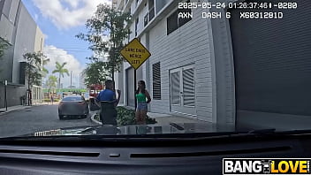 Disturbing the pussy