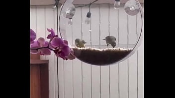 I’m obsessed with this ️