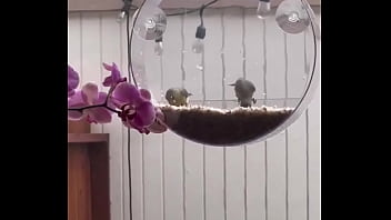 I’m obsessed with this ️