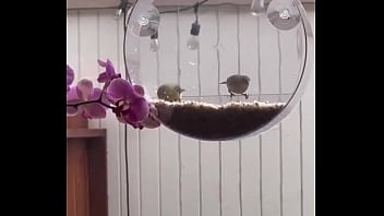 I’m obsessed with this ️