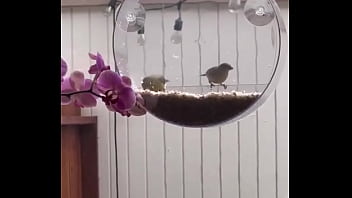 I’m obsessed with this ️