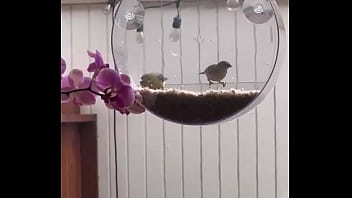 I’m obsessed with this ️