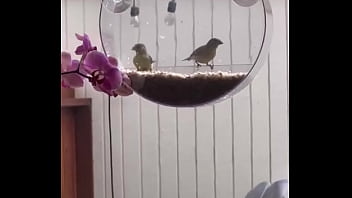 I’m obsessed with this ️