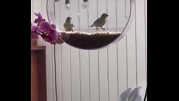 I’m obsessed with this ️