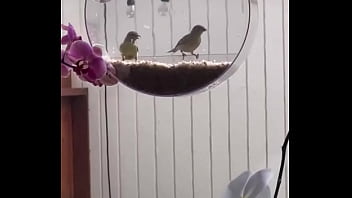 I’m obsessed with this ️