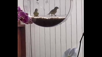 I’m obsessed with this ️