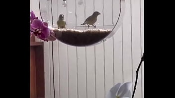 I’m obsessed with this ️