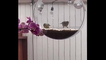 I’m obsessed with this ️