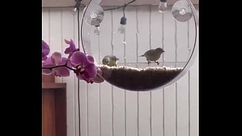 I’m obsessed with this ️