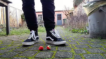 Vans squaches strawberries
