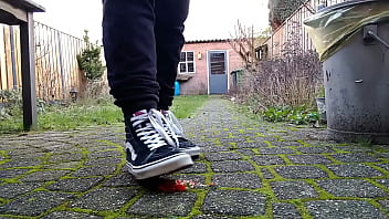 Vans squaches strawberries