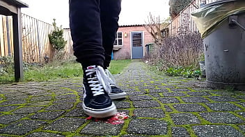 Vans squaches strawberries